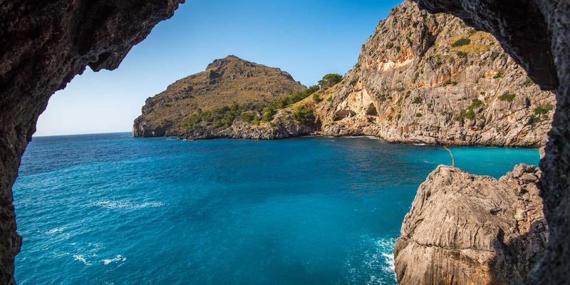 AI赋能无线网络：智能运维与优化如何重塑通信解决方案