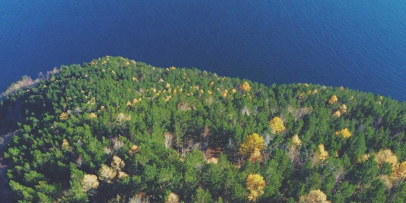 智能通信解决方案新纪元：基于AI的无线网络资源动态分配与优化算法深度解析