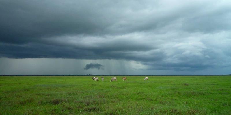 突破容量瓶颈：空分复用与多芯光纤如何重塑通信工程与系统集成