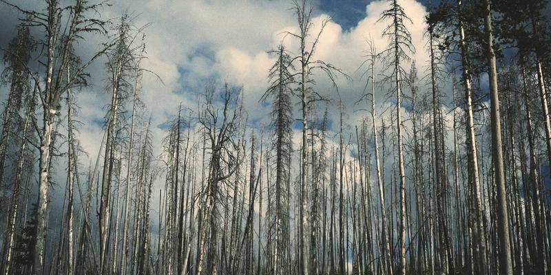 系统集成新范式：量子密钥分发如何重塑下一代通信解决方案与网络服务安全架构
