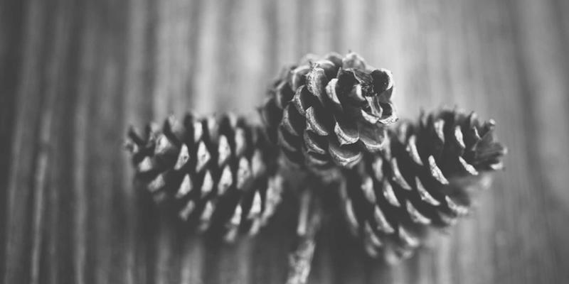 通信工程新范式：数字孪生技术如何重塑网络构建与运维