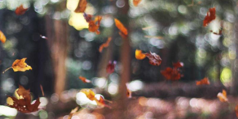 通信工程新趋势：网络运维与服务模式的智能化变革