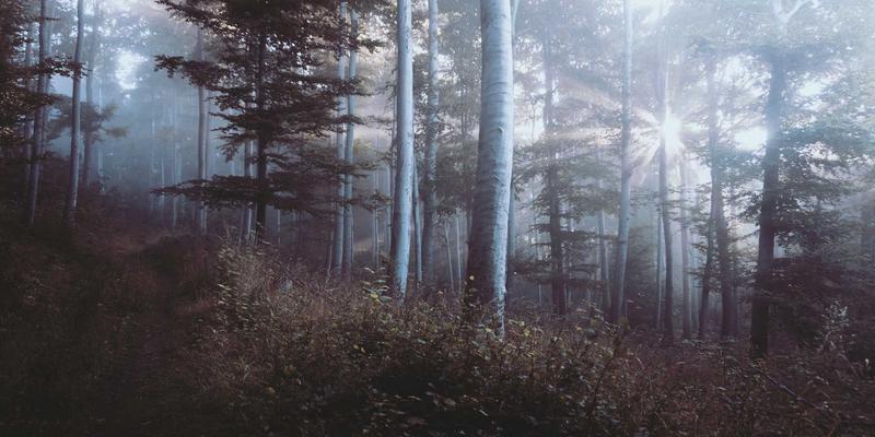 通信工程进阶：从网络运维到创新解决方案的转型之路