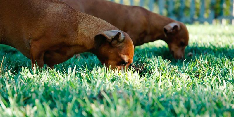 量子密钥分发：重塑通信解决方案与网络服务的终极安全架构